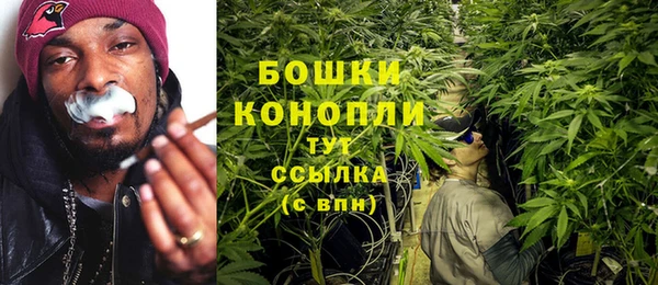 ГАЛЛЮЦИНОГЕННЫЕ ГРИБЫ Аркадак