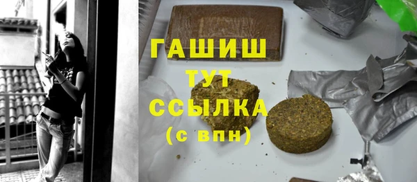 прущие грибы Великий Новгород