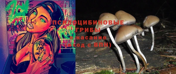 индика Армянск