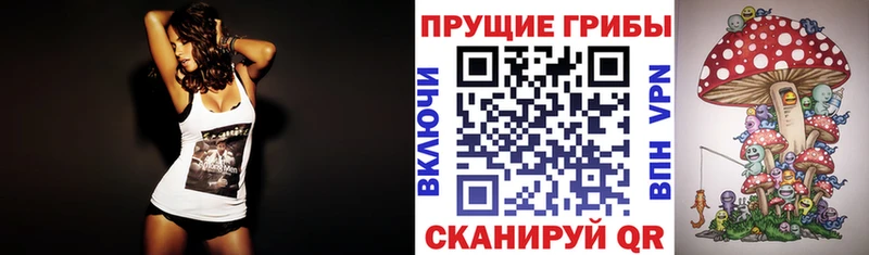 где продают наркотики  Барыш  Псилоцибиновые грибы Psilocybe 